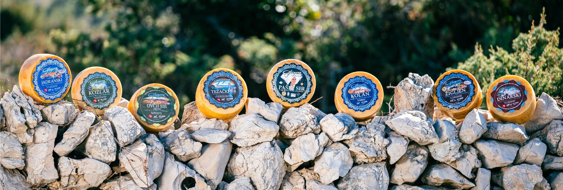 Gligora paški sýr z ostrova Pag, Chorvatsko. Ovčí sýr, kravský sýr, kozí sýr.