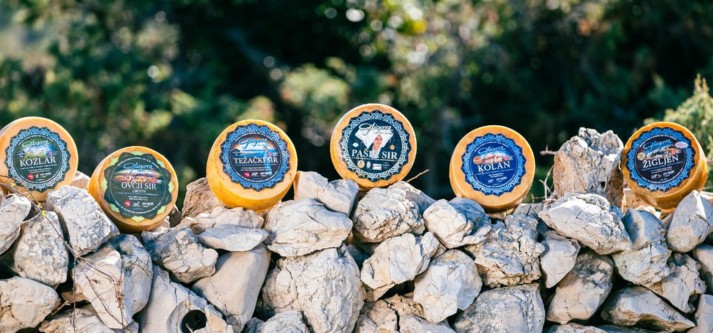 Gligora paški sýr z ostrova Pag, Chorvatsko. Ovčí sýr, kravský sýr, kozí sýr.