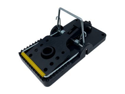 past krysa potkan 500x500