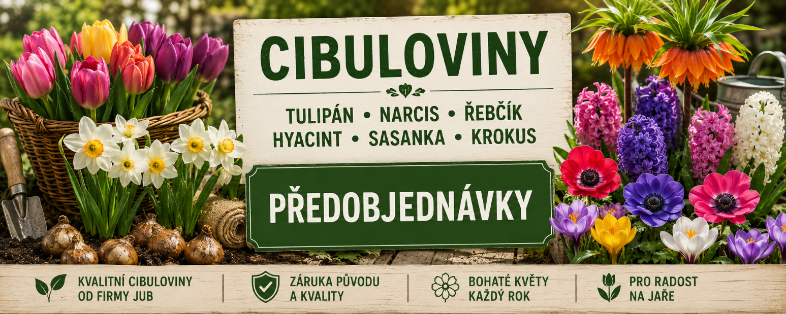 Cibuloviny