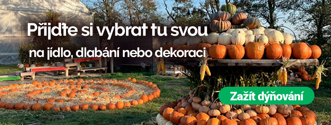 Dýňování