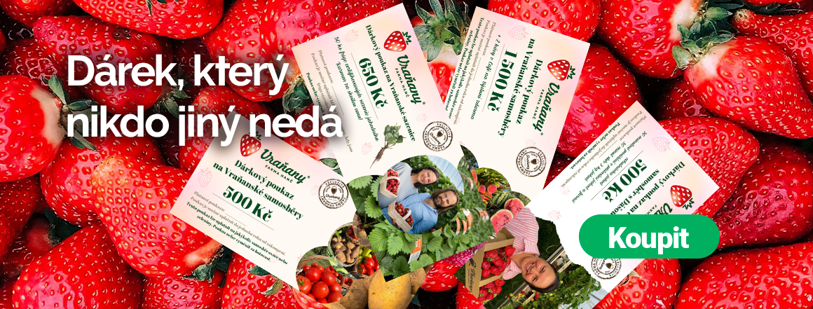 Vánoční poukazy