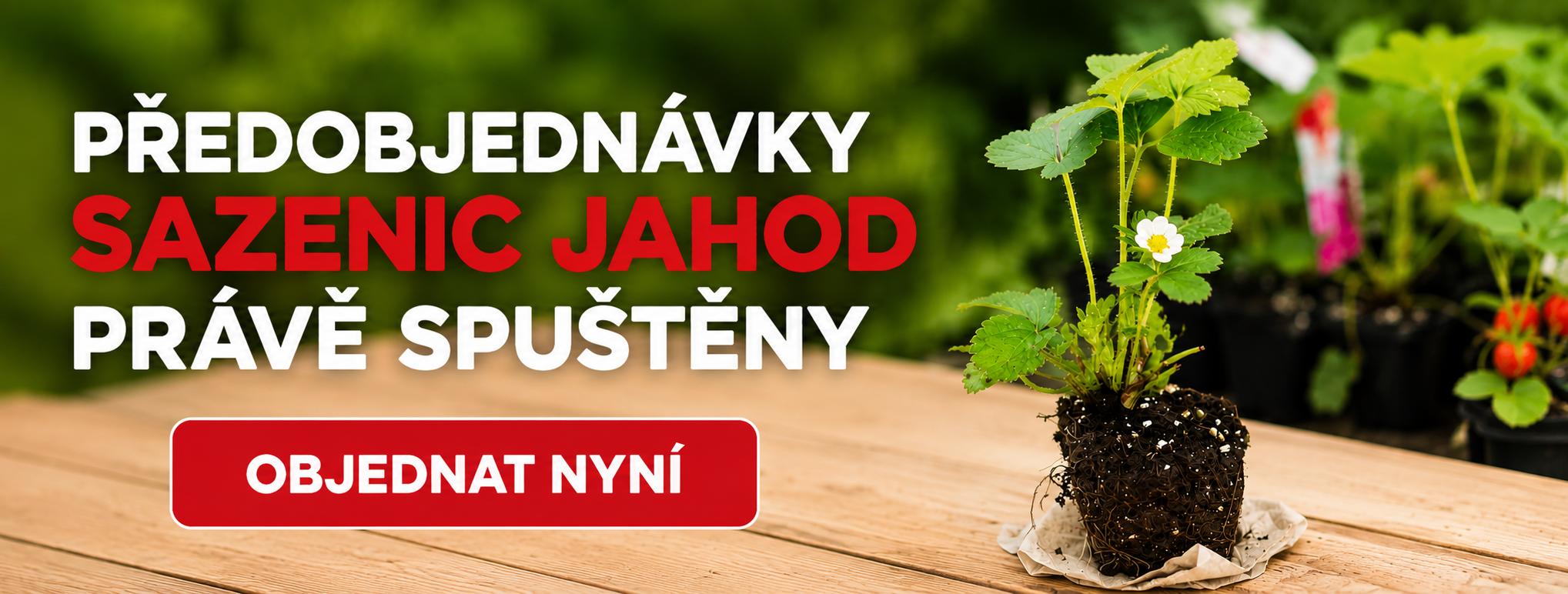 Předobjednávky