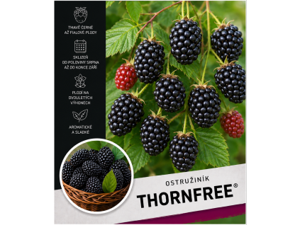 thornfree1