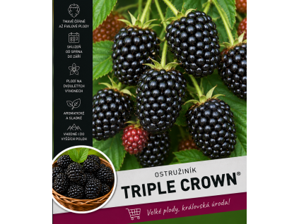 triple crown