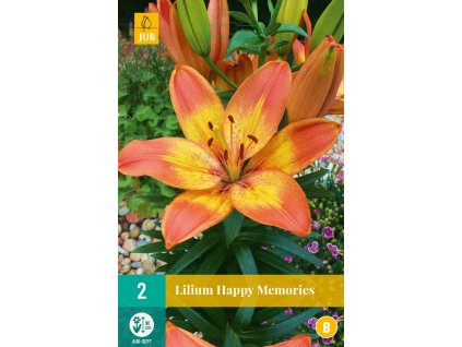 Lilie - Happy Memories