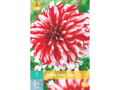 Jiřina - Santa Claus