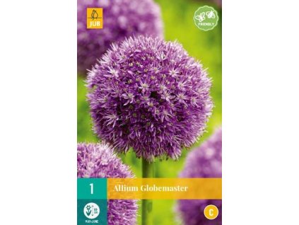 cibule cesneku allium globemaster 1 kus