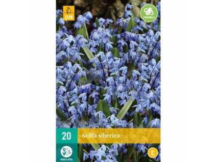scilla siberica 20 ks 1688117288 970