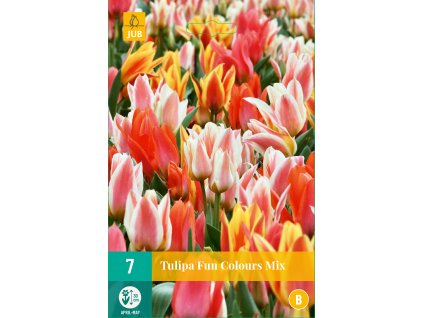 Tulipán - Fun Colours mix