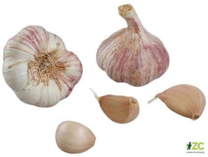 Germidour