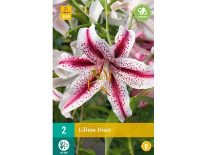x 2 lilium dizzy 14 16