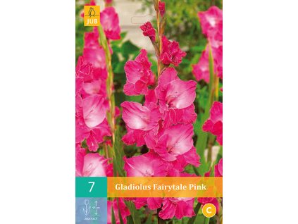 Mečík (Gladiolus) - Fairytale Pink