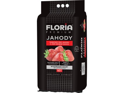 MDA4MjlBX0ZMT1JJQV9TdWJzdHJhdF9KQUhPRFlfNDBsXzg1OTI1NDIwMTYzMzIuanBn