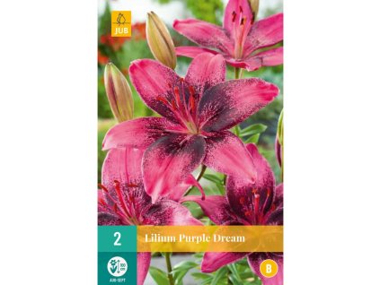 18318 lilie purple dream 2 ks