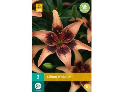 lilie whistler 2 ks1