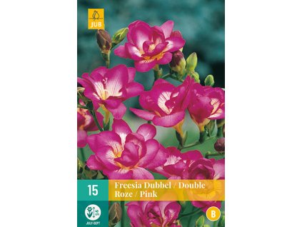 Frezie Double Pink 15 cibuli ruzova