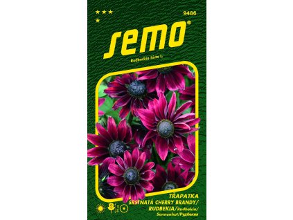 9486 třapatka srstnatá CHERRY BRANDY