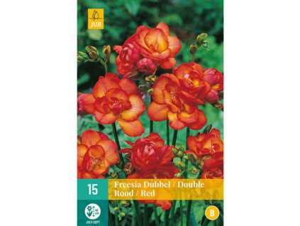 freesia dubbel rood 15 cibuli
