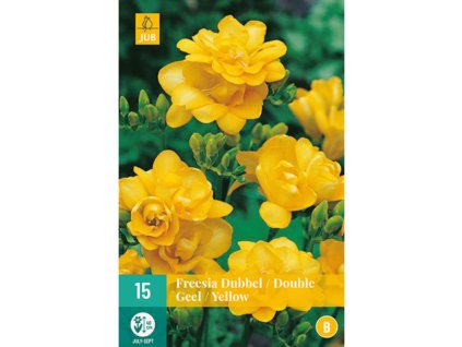 freesia dubbel geel 15 cibuli