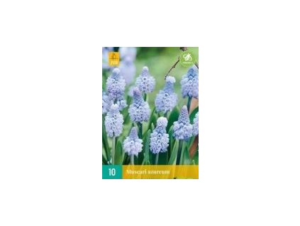 768371af 49d0 4a39 8875 1633631fa121.jpeg2