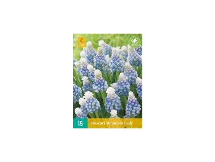 bf137409 a5b5 475a b2bb a14fdc6ebb6c.jpegj