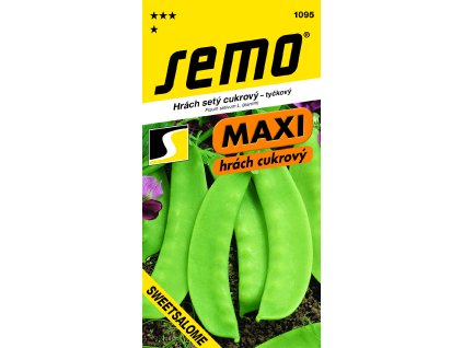 1095 94 15 81 maxi BL VS