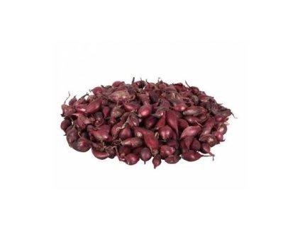 Sazečka cibule - Akado červená ozimá 500 g