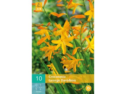 Montbrecie crocosmia george davidson 10 cibuli karta
