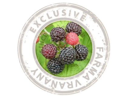 Maliník - Megan® - kontejner 2 l