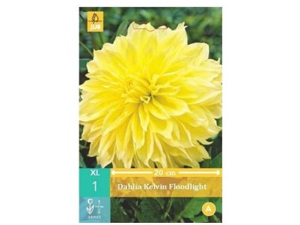 12337 jirina kelvin floodlight