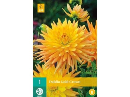 771113 snimek obrazovky 2024 02 01 115255