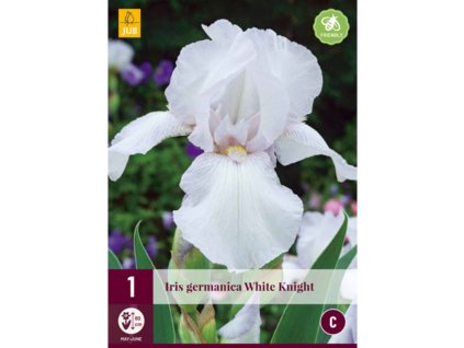 kosatec germanica white knight i 1 ks