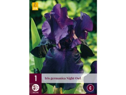 kosatec germanica night owl i 1 ks