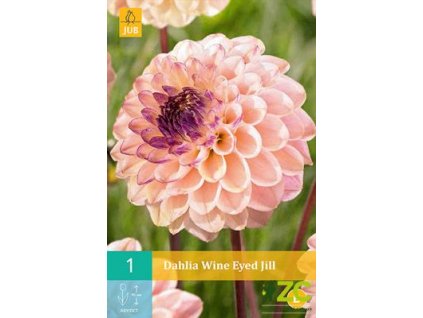 916b9d12 b25b 4f75 911a ec3632fb4e05