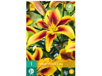 39393 lilie viva la vida