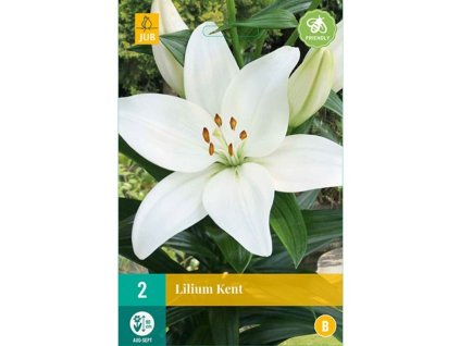 lilie kent 2 ks