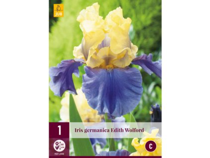 kosatec germanica edith wolford i 1 ks