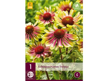 trapatka echinacea green twister i 1 ks