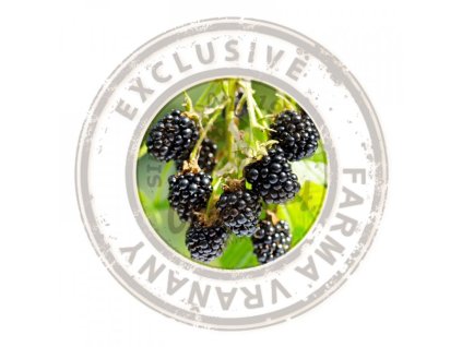 Ostužiník - Black Diamonds (balkonový, beztrnný) 2l