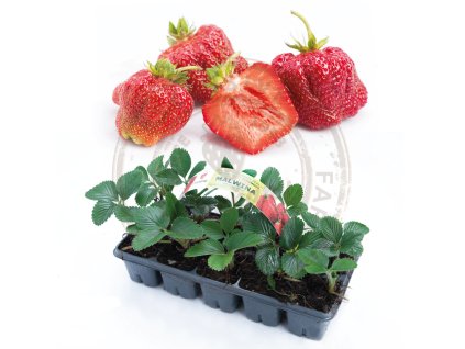 Návrh bez názvu(2)