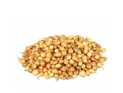Sazečka cibule ozimá - Shakespeare 250 g