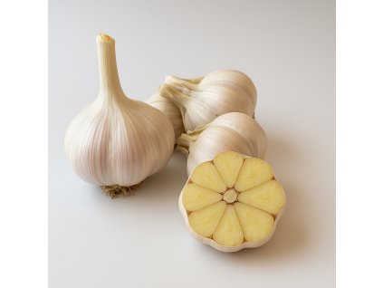 PaličákChatGPT Image 18. 7. 2025 10 23 40