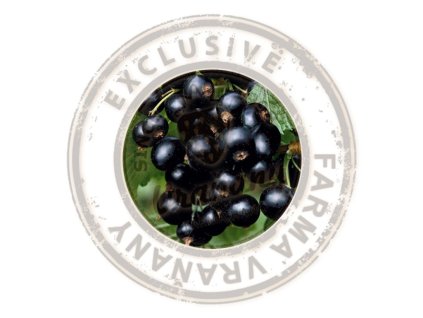 Rybíz černý - Black Bells 2 l