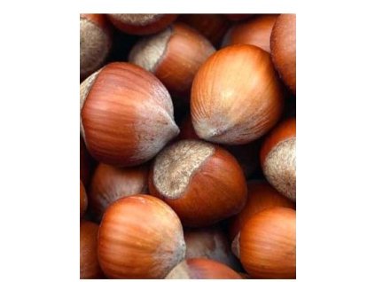 Líska - Barcelonská - kontejner 2 l