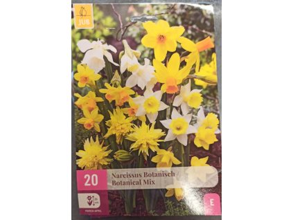 Narcis - Botanical mix 20 ks