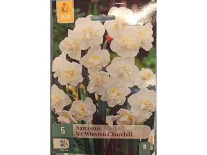 Narcis - Sir Winston Churchill