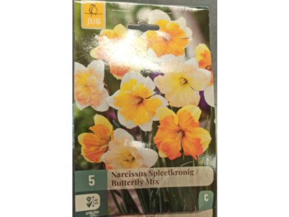 Narcis - Butterfly mix