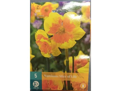 Narcis - Slice of Life