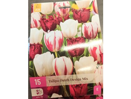 Tulipán - Dutch design mix 15 ks